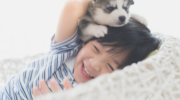 kids and pets